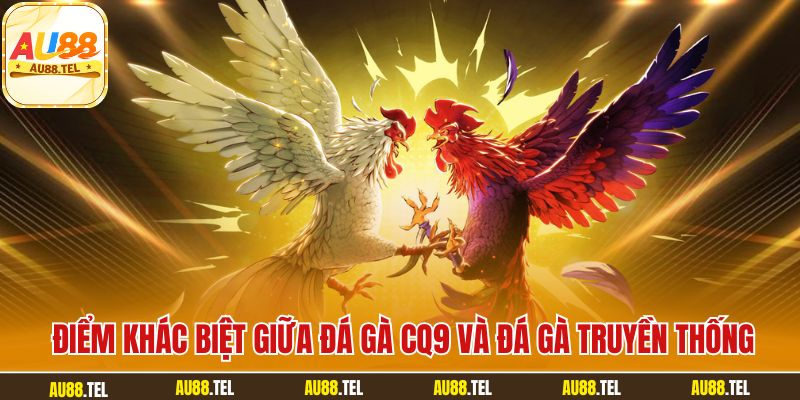 Đá Gà CQ9 - Hướng Dẫn Chơi & Bật Mí Bí Quyết Thắng Lớn - Winrivo88