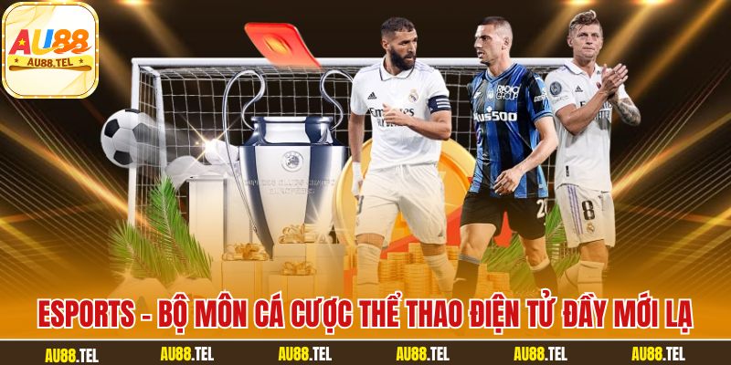 Thể Thao AU88 – Sân Chơi Cá Cược Hàng Đầu, Đa Dạng Kèo - Winrivo88