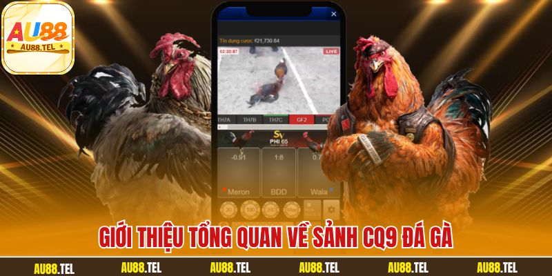 Đá Gà CQ9 - Hướng Dẫn Chơi & Bật Mí Bí Quyết Thắng Lớn - Winrivo88