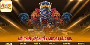 ĐÁ GÀ - au88 tel - Winrivo88