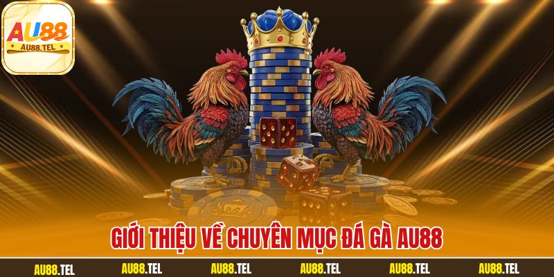 Đá Gà AU88 – Sân Chơi Cá Cược Trực Tuyến Sôi Động 24/7 - Winrivo88