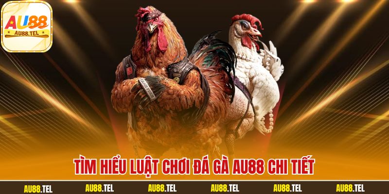 Đá Gà AU88 – Sân Chơi Cá Cược Trực Tuyến Sôi Động 24/7 - Winrivo88